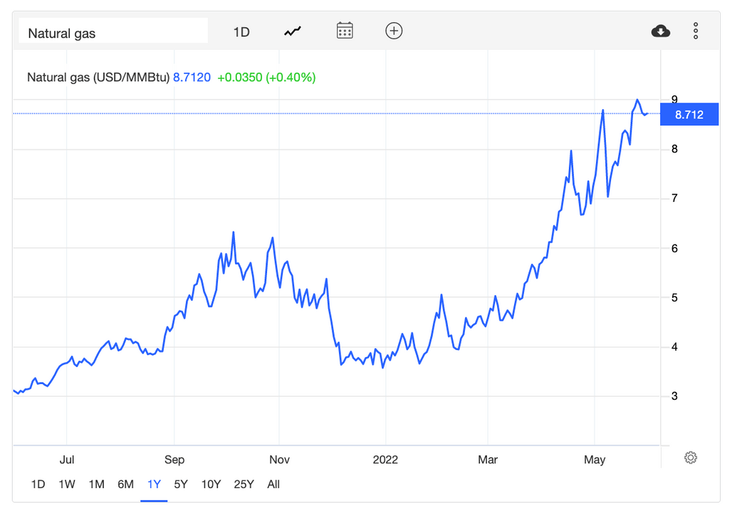 US Natural Gas Prices are on a high