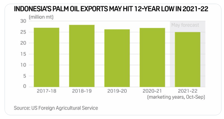 Indonesia lifts ban on palm oil exports 
