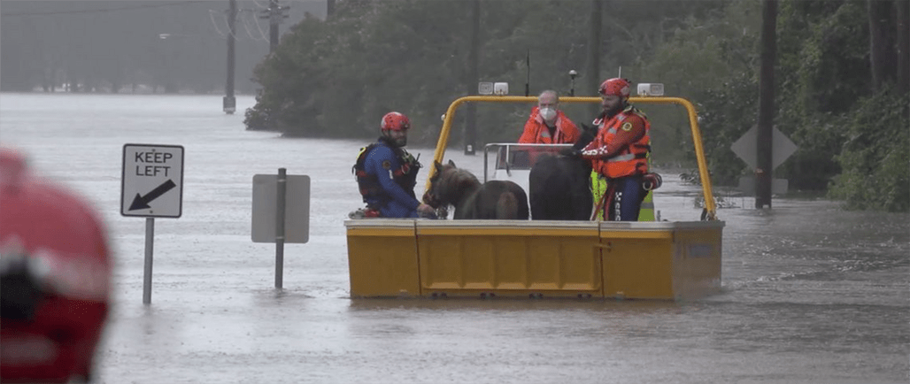 Floods in Sydney, Mumbai, south Caribbean and Oman 